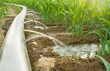 irrigation-design Image