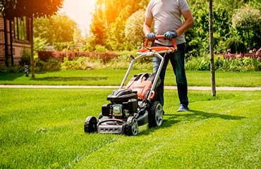 residential-lawncare Image